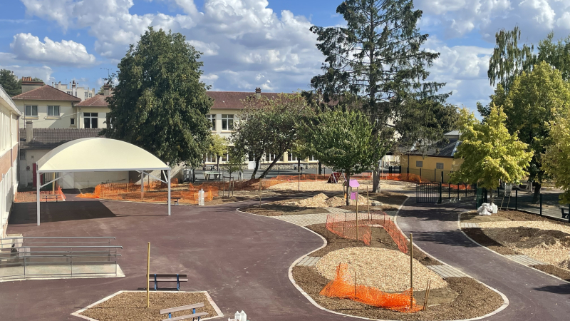 cour oasis