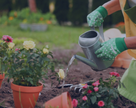 Jardinage