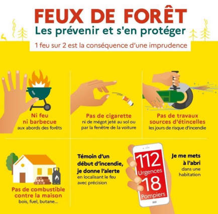 Feux de forêt