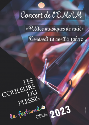 Concert EMAM festival 2023