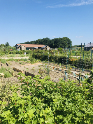 Jardins familiaux