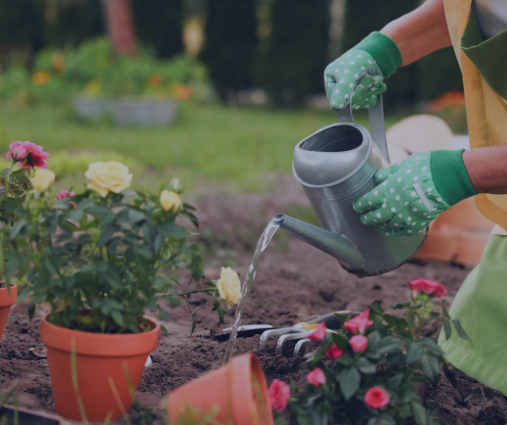 Jardinage