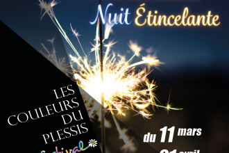 Festival Les couleurs du Plessis 