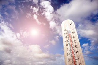 canicule 